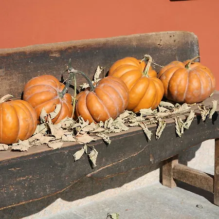 Agriturismo La Virginia Lantgård *