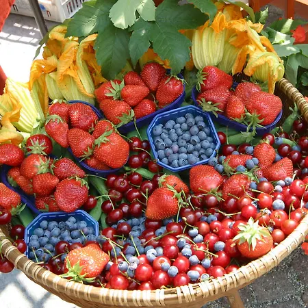 Agriturismo La Virginia Lantgård Revello